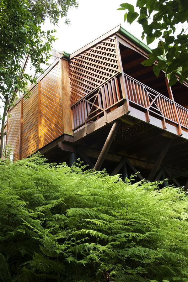 Arendsrus Country Resort Molen Drift Exterior photo